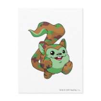 Meerca Camouflage postcards