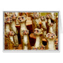 Meercats cards by Wild_Angel Meercats cards