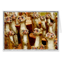 Meercats cards by Wild_Angel Meercats cards