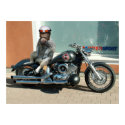 Meerhorse biker poster posters by Junglegeorge Meerhorse biker poster posters