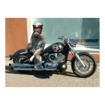 Meerhorse biker poster posters