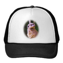 Meerkat_1032 Gorros Bordados