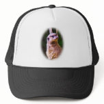 Meerkat_1032 hats
