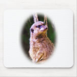 Meerkat_1032 Mouse Mats