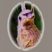 Meerkat_1032 t-shirts