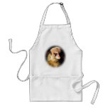 Meerkat_1209 aprons