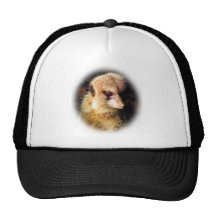Meerkat_1209 Gorros Bordados