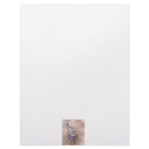 Meerkat against clay looking up photograph personalized letterhead