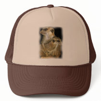 Meerkat and Pup in Oil, jagged edge Mesh Hats