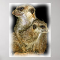Meerkat and Pup in Oil, jagged edge Posters