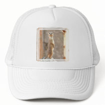 Meerkat at Attention Baseball Hat