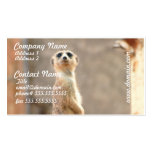 Meerkat at Attention Business Cards