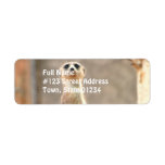 Meerkat at Attention Mailing Label