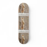 Meerkat at Attention Skateboard