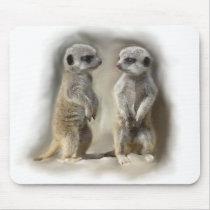 Meerkat baby twins mouse mats