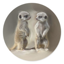 Meerkat baby twins sticker