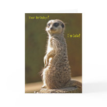 Meerkat Belated Birthday Card