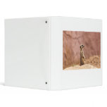 Meerkat binders