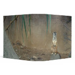 Meerkat Binder