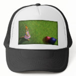 Meerkat Birthday, hat