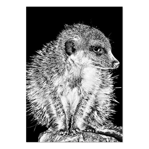 Meerkat, Black and White Business Card Templates