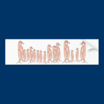 Meerkat Bumper Sticker bumper stickers