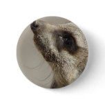 Meerkat Button