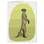 MEERKAT cards