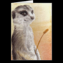 Meerkat cards