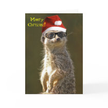   Meerkat Christmas Card