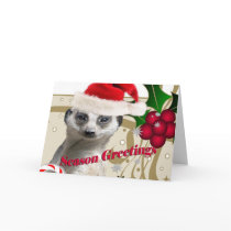 Meerkat Christmas Cards