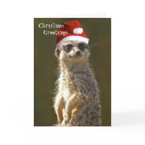 Meerkat Christmas Greetings Card
