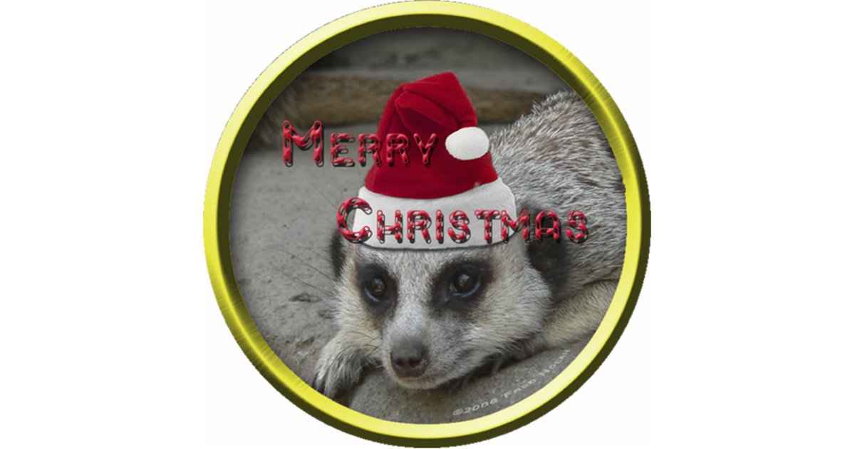 meerkat christmas ornament zazzle meerkat christmas ornament zazzle