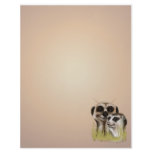 Meerkat Couple letterhead_vertical.