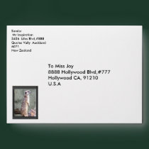 Meerkat Discovery envelope envelopes