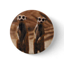 Meerkat Duo Pinback Button