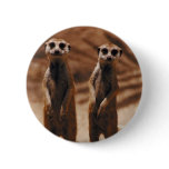 Meerkat Duo Pinback Button