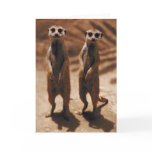 Meerkat Duo Card