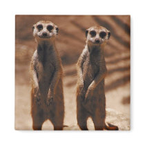 Meerkat Duo Fridge Magnet