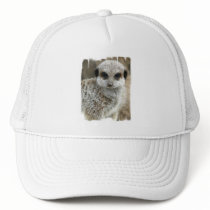Meerkat Face Baseball Hat
