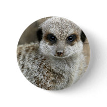 Meerkat Face Button
