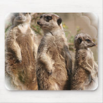Meerkat Family Mouse Pad