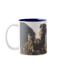 Meerkat Family mugs