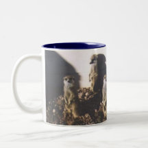 Meerkat Family Mugs