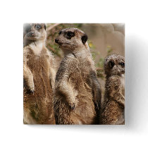 Meerkat Family Square Pin