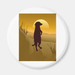 Meerkat Fridge Magnets