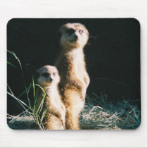 Meerkat Friends Mousepad