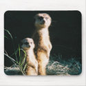Meerkat Friends Mousepad by aestheticchaos Meerkat Friends Mousepad