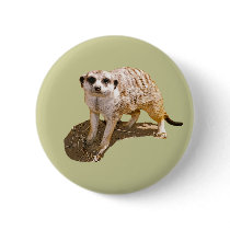 Meerkat Gift Button