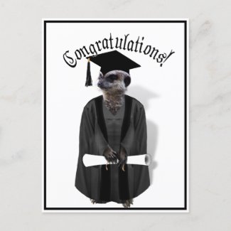 Meerkat Graduate W/Grey Gown & Black Sash postcard